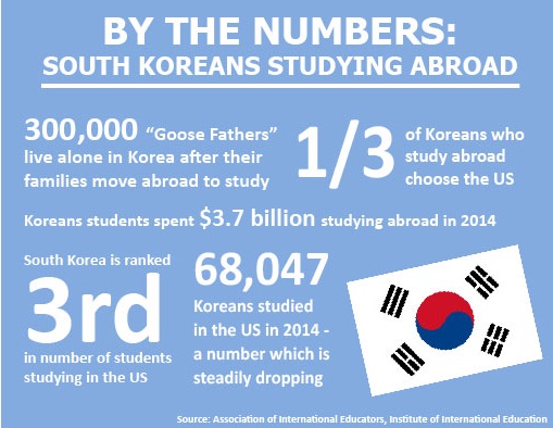 Study Abroad Graphic Final