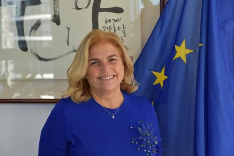 Maria Castillo-Fernandez