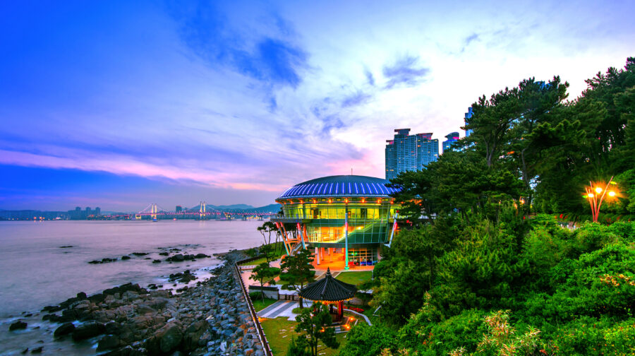 APEC Summit Presents Opportunity to Rekindle Global Trade Cooperation